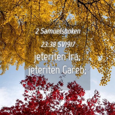Picture 04 - 2 Samuelsboken 23:38 SV1917 - jeteriten Ira; jeteriten - Bible Verse Picture