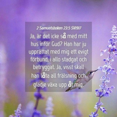 Picture 04 - 2 Samuelsboken 23:5 SV1917 - Ja, är det icke så med mitt hus inför Gud? Han - Bible Verse Picture