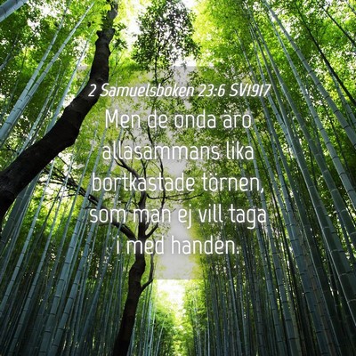 Picture 04 - 2 Samuelsboken 23:6 SV1917 - Men de onda äro allasammans lika bortkastade - Bible Verse Picture