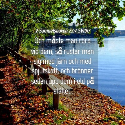 Picture 04 - 2 Samuelsboken 23:7 SV1917 - Och måste man röra vid dem, så rustar man sig - Bible Verse Picture