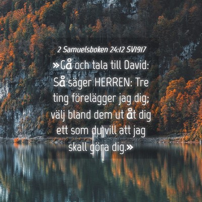 Picture 04 - 2 Samuelsboken 24:12 SV1917 - »Gå och tala till David: Så säger HERREN: Tre - Bible Verse Picture