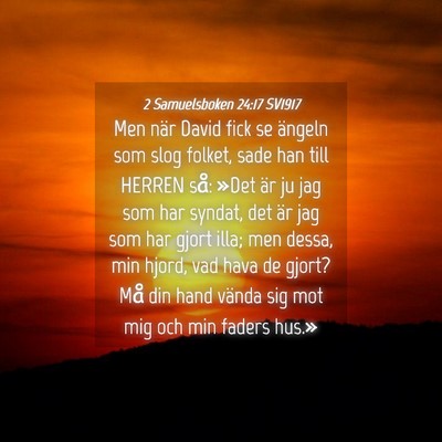 Picture 04 - 2 Samuelsboken 24:17 SV1917 - Men när David fick se ängeln som slog folket, - Bible Verse Picture