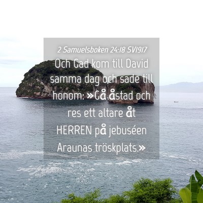 Picture 04 - 2 Samuelsboken 24:18 SV1917 - Och Gad kom till David samma dag och sade till - Bible Verse Picture