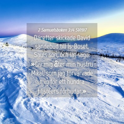 Picture 04 - 2 Samuelsboken 3:14 SV1917 - Därefter skickade David sändebud till Is-Boset, - Bible Verse Picture