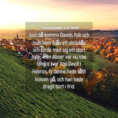 Picture 04 - 2 Samuelsboken 3:22 SV1917 - Just då kommo Davids folk och Joab hem från ett - Bible Verse Picture