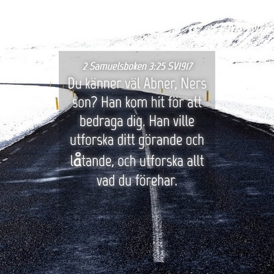Picture 04 - 2 Samuelsboken 3:25 SV1917 - Du känner väl Abner, Ners son? Han kom hit för - Bible Verse Picture