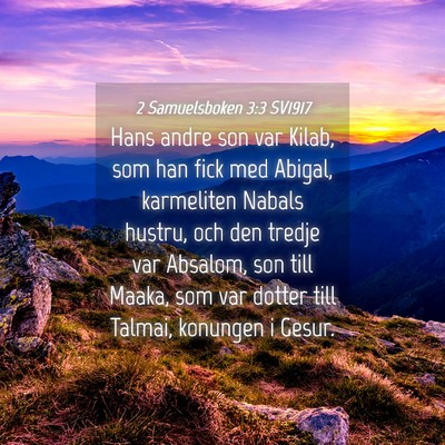 Picture 04 - 2 Samuelsboken 3:3 SV1917 - Hans andre son var Kilab, som han fick med - Bible Verse Picture
