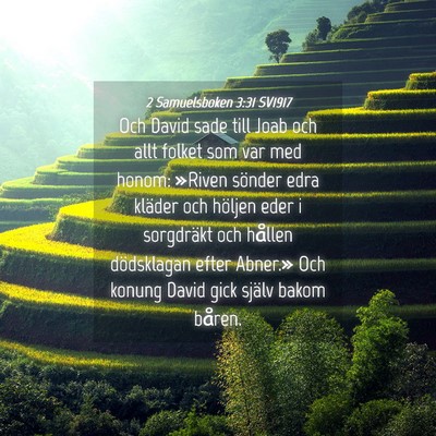 Picture 04 - 2 Samuelsboken 3:31 SV1917 - Och David sade till Joab och allt folket som var - Bible Verse Picture
