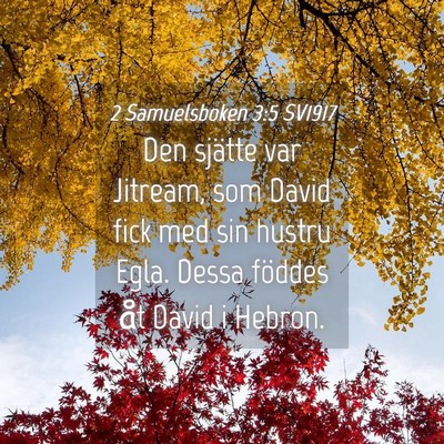 Picture 04 - 2 Samuelsboken 3:5 SV1917 - Den sjätte var Jitream, som David fick med sin - Bible Verse Picture