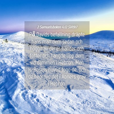 Picture 04 - 2 Samuelsboken 4:12 SV1917 - På Davids befallning dräpte hans män dem sedan - Bible Verse Picture