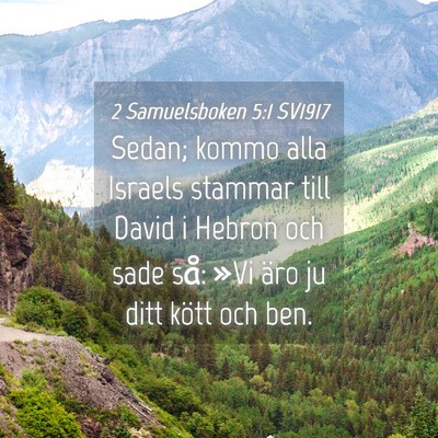 Picture 04 - 2 Samuelsboken 5:1 SV1917 - Sedan; kommo alla Israels stammar till David i - Bible Verse Picture