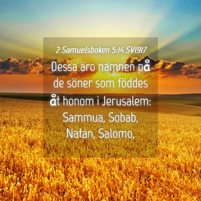 Picture 04 - 2 Samuelsboken 5:14 SV1917 - Dessa äro namnen på de söner som föddes åt - Bible Verse Picture