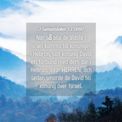 Picture 04 - 2 Samuelsboken 5:3 SV1917 - När så alla de äldste i Israel kommo till - Bible Verse Picture