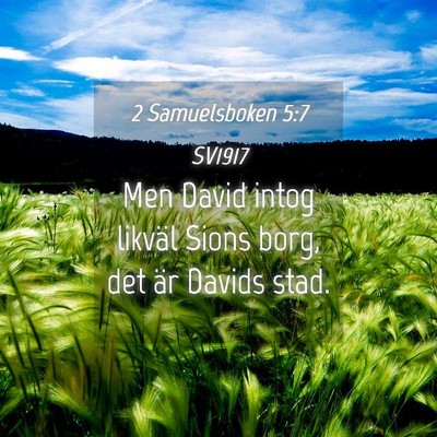 Picture 04 - 2 Samuelsboken 5:7 SV1917 - Men David intog likväl Sions borg, det är - Bible Verse Picture