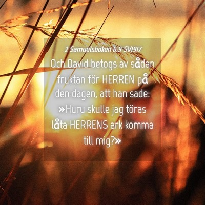 Picture 04 - 2 Samuelsboken 6:9 SV1917 - Och David betogs av sådan fruktan för HERREN - Bible Verse Picture