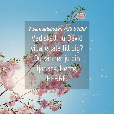 Picture 04 - 2 Samuelsboken 7:20 SV1917 - Vad skall nu David vidare tala till dig? Du - Bible Verse Picture