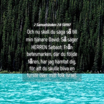 Picture 04 - 2 Samuelsboken 7:8 SV1917 - Och nu skall du säga så till min tjänare - Bible Verse Picture