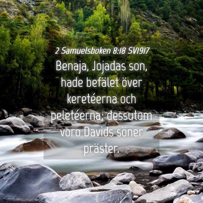 Picture 04 - 2 Samuelsboken 8:18 SV1917 - Benaja, Jojadas son, hade befälet över - Bible Verse Picture