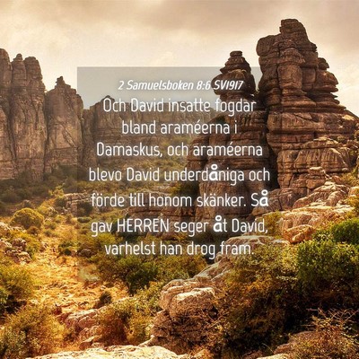 Picture 04 - 2 Samuelsboken 8:6 SV1917 - Och David insatte fogdar bland araméerna i - Bible Verse Picture