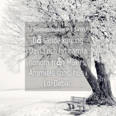 Picture 04 - 2 Samuelsboken 9:5 SV1917 - Då sände konung David och lät hämta honom - Bible Verse Picture