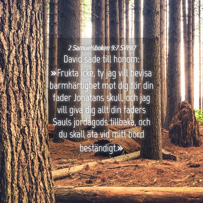 Picture 04 - 2 Samuelsboken 9:7 SV1917 - David sade till honom: »Frukta icke, ty jag vill - Bible Verse Picture