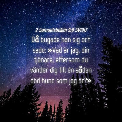 Picture 04 - 2 Samuelsboken 9:8 SV1917 - Då bugade han sig och sade: »Vad är jag, din - Bible Verse Picture