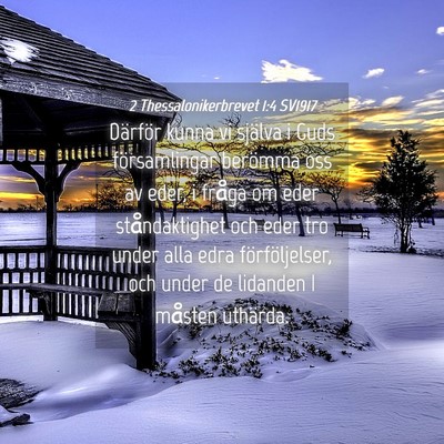 Picture 04 - 2 Thessalonikerbrevet 1:4 SV1917 - Därför kunna vi själva i Guds församlingar - Bible Verse Picture