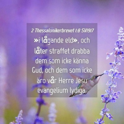 Picture 04 - 2 Thessalonikerbrevet 1:8 SV1917 - »i lågande eld», och låter straffet drabba - Bible Verse Picture