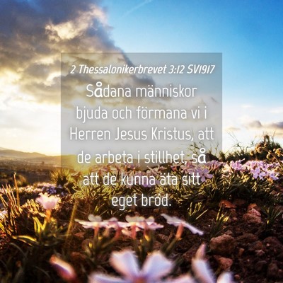 Picture 04 - 2 Thessalonikerbrevet 3:12 SV1917 - Sådana människor bjuda och förmana vi i Herren - Bible Verse Picture