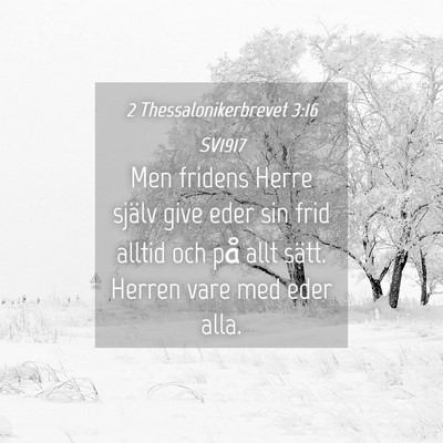 Picture 04 - 2 Thessalonikerbrevet 3:16 SV1917 - Men fridens Herre själv give eder sin frid - Bible Verse Picture