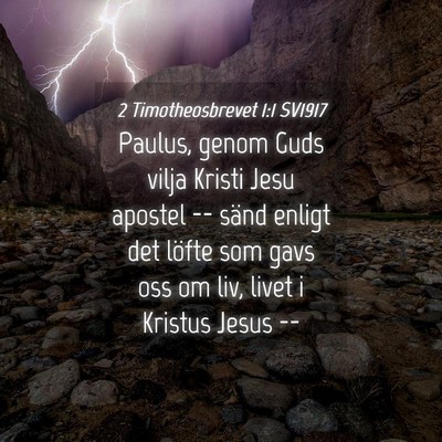 Picture 04 - 2 Timotheosbrevet 1:1 SV1917 - Paulus, genom Guds vilja Kristi Jesu apostel -- - Bible Verse Picture