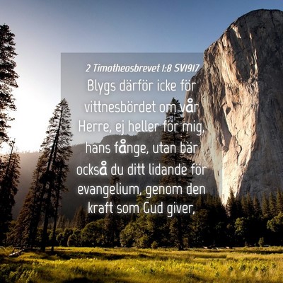 Picture 04 - 2 Timotheosbrevet 1:8 SV1917 - Blygs därför icke för vittnesbördet om vår - Bible Verse Picture