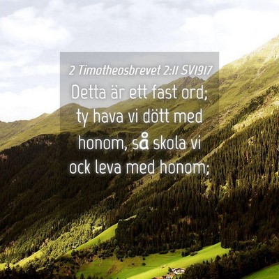 Picture 04 - 2 Timotheosbrevet 2:11 SV1917 - Detta är ett fast ord; ty hava vi dött med - Bible Verse Picture