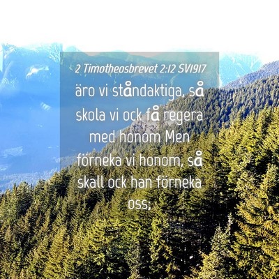 Picture 04 - 2 Timotheosbrevet 2:12 SV1917 - äro vi ståndaktiga, så skola vi ock få regera - Bible Verse Picture