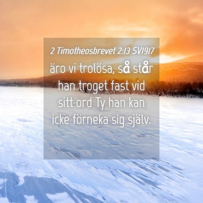 Picture 04 - 2 Timotheosbrevet 2:13 SV1917 - äro vi trolösa, så står han troget fast vid - Bible Verse Picture