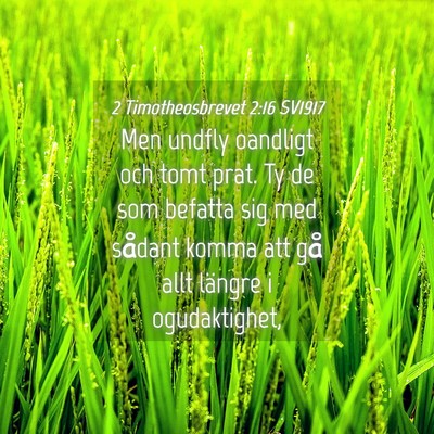 Picture 04 - 2 Timotheosbrevet 2:16 SV1917 - Men undfly oandligt och tomt prat. Ty de som - Bible Verse Picture