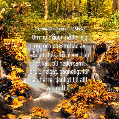 Picture 04 - 2 Timotheosbrevet 2:21 SV1917 - Om nu någon håller sig ren och obesmittad av - Bible Verse Picture