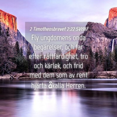 Picture 04 - 2 Timotheosbrevet 2:22 SV1917 - Fly ungdomens onda begärelser, och far efter - Bible Verse Picture