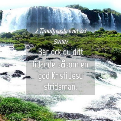 Picture 04 - 2 Timotheosbrevet 2:3 SV1917 - Bär ock du ditt lidande såsom en god Kristi - Bible Verse Picture