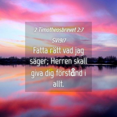 Picture 04 - 2 Timotheosbrevet 2:7 SV1917 - Fatta rätt vad jag säger; Herren skall giva dig - Bible Verse Picture