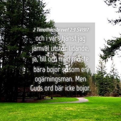 Picture 04 - 2 Timotheosbrevet 2:9 SV1917 - och i vars tjänst jag jämväl utstår lidande, - Bible Verse Picture