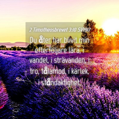 Picture 04 - 2 Timotheosbrevet 3:10 SV1917 - Du åter har blivit min efterföljare lära, i - Bible Verse Picture
