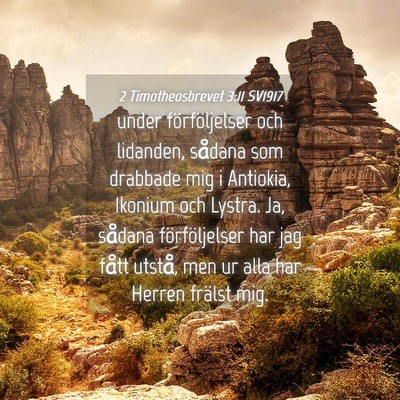 Picture 04 - 2 Timotheosbrevet 3:11 SV1917 - under förföljelser och lidanden, sådana som - Bible Verse Picture