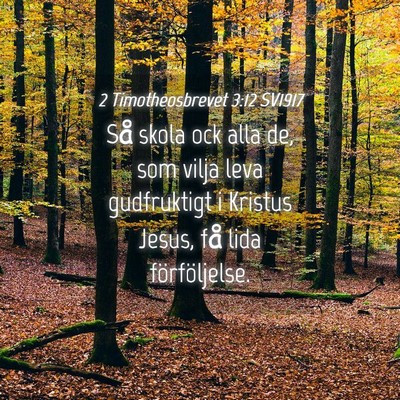 Picture 04 - 2 Timotheosbrevet 3:12 SV1917 - Så skola ock alla de, som vilja leva gudfruktigt - Bible Verse Picture