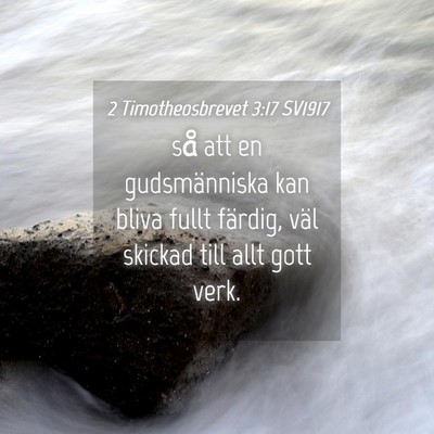 Picture 04 - 2 Timotheosbrevet 3:17 SV1917 - så att en gudsmänniska kan bliva fullt färdig, - Bible Verse Picture