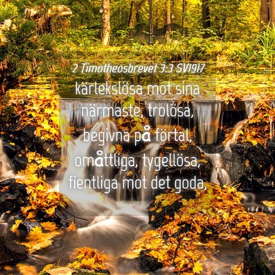 Picture 04 - 2 Timotheosbrevet 3:3 SV1917 - kärlekslösa mot sina närmaste, trolösa, - Bible Verse Picture