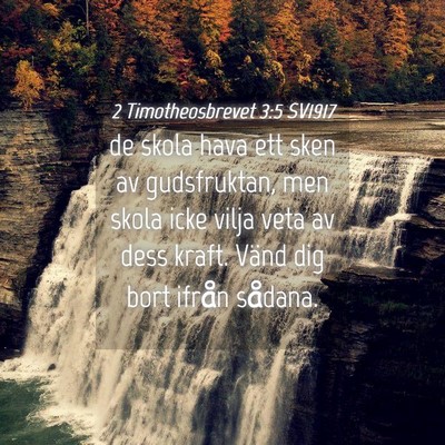 Picture 04 - 2 Timotheosbrevet 3:5 SV1917 - de skola hava ett sken av gudsfruktan, men skola - Bible Verse Picture