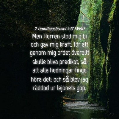 Picture 04 - 2 Timotheosbrevet 4:17 SV1917 - Men Herren stod mig bi och gav mig kraft, för - Bible Verse Picture