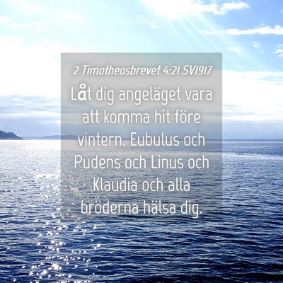 Picture 04 - 2 Timotheosbrevet 4:21 SV1917 - Låt dig angeläget vara att komma hit före - Bible Verse Picture