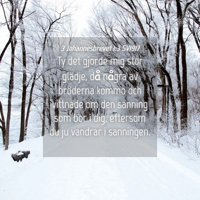 Picture 04 - 3 Johannesbrevet 1:3 SV1917 - Ty det gjorde mig stor glädje, då några av - Bible Verse Picture